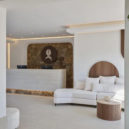 Iria Blue Mykonos فندق